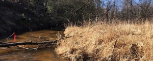 Natural Channel Design
